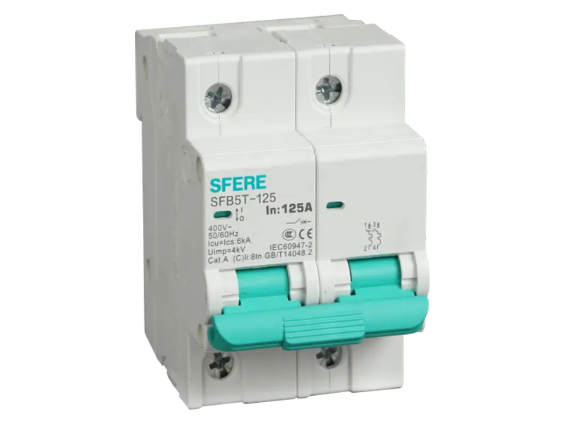 Miniature Circuit Breaker SFB5T-125 Series